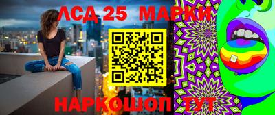 гидра Брянск