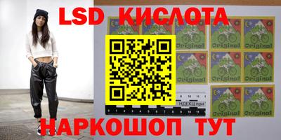 a pvp Братск
