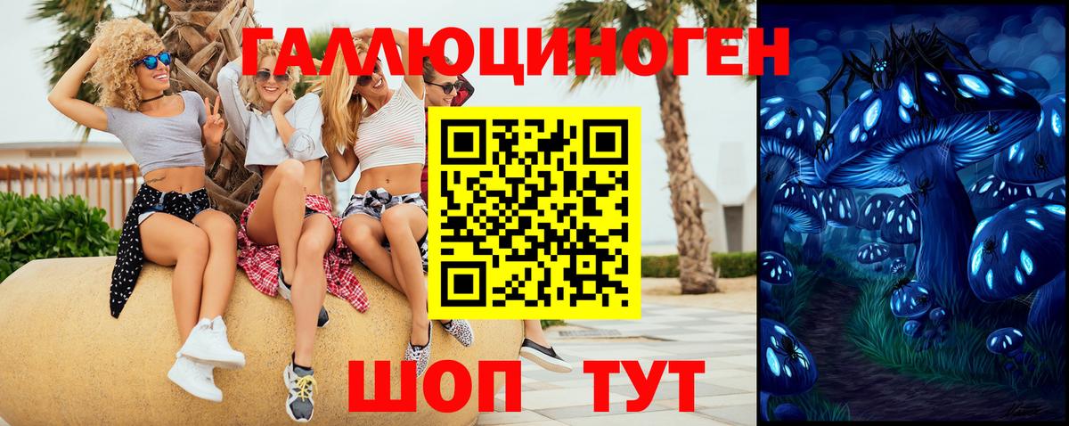 Галлюциногенные грибы прущие грибы Кандалакша
