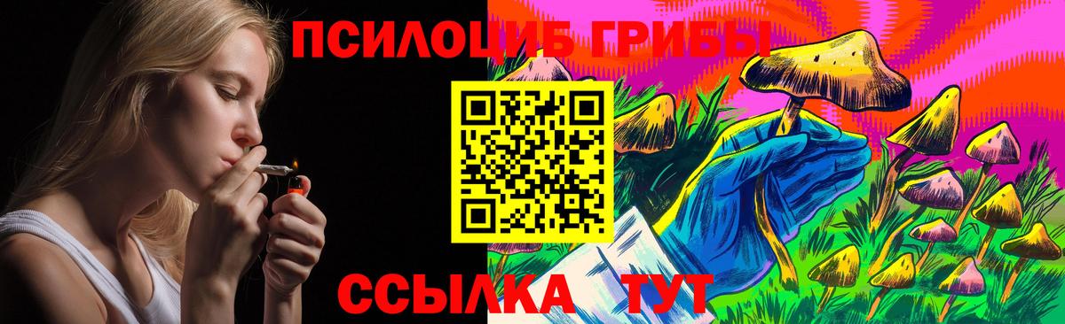 Кандалакша  Галлюциногенные грибы Psilocybe  Вход с VPN 